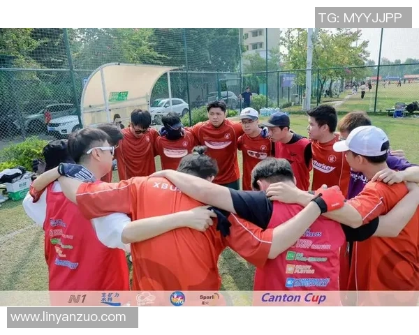 飞盘新手必看:灵活性训练与技巧全面入门指南 飞盘新手必看:灵活性训练与技巧全面入门指南