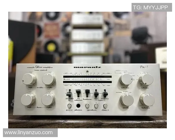 伯顿功放VS6评测：音质表现与功能对比分析，谁才是音响界的王者