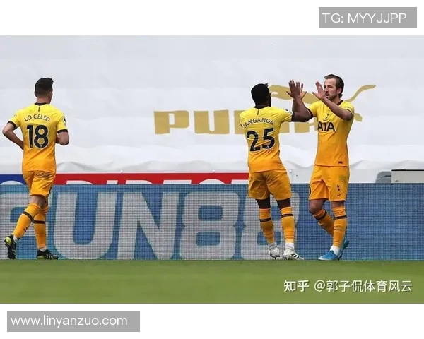 凯恩的传奇之路：从英超巨星到世界足球的璀璨明珠