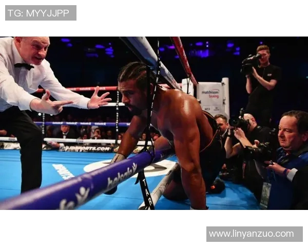 托尼贝柳与海耶的巅峰对决谁能笑到最后揭开拳坛新篇章