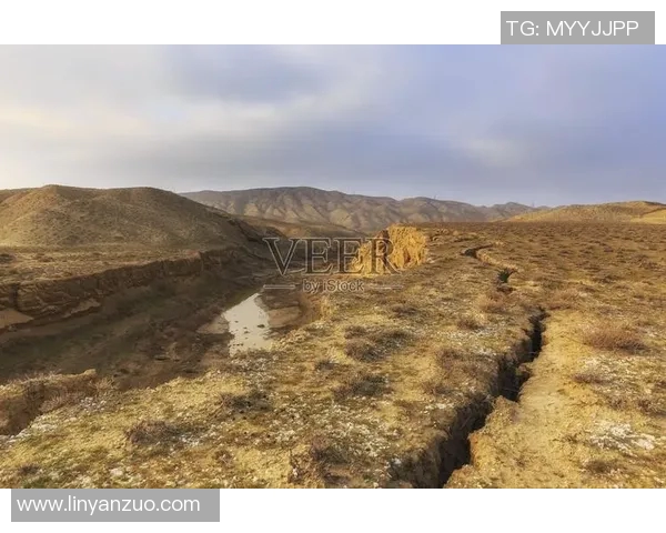 河床与巴勒斯坦人之间的冲突与和解之路探讨 河床与巴勒斯坦人之间的冲突与和解之路探讨
