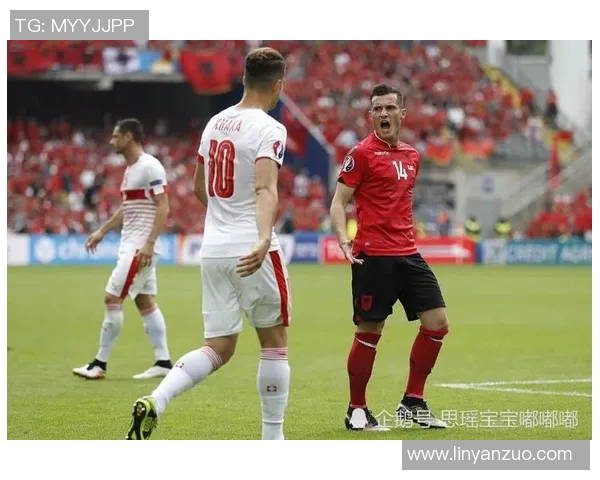 瑞士与北爱尔兰激战正酣最终比分揭晓精彩瞬间回顾