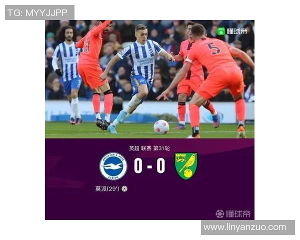诺维奇与布莱顿精彩对决直播全程回顾与分析