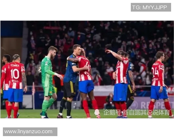 阿尔克马与埃因霍温对决比分预测及赛前分析详解