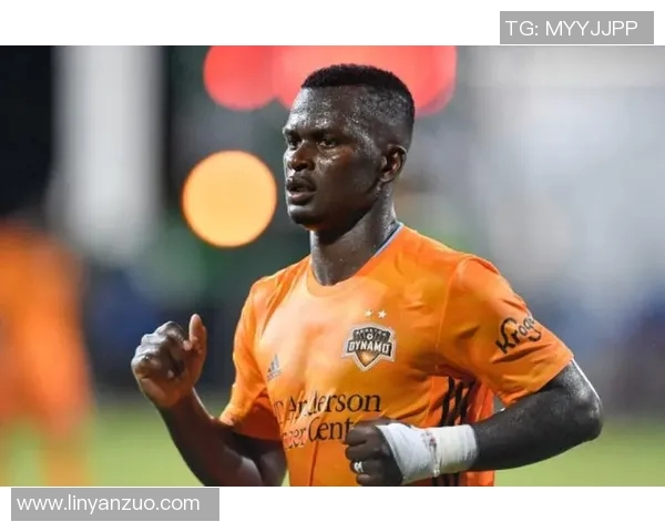 休斯顿与明尼苏达对决分析期待一场精彩的季后赛较量