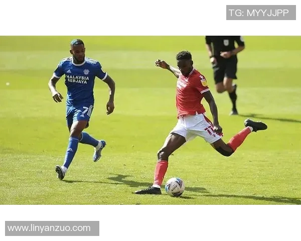 南特与里尔激战正酣比赛结果揭晓引发热议